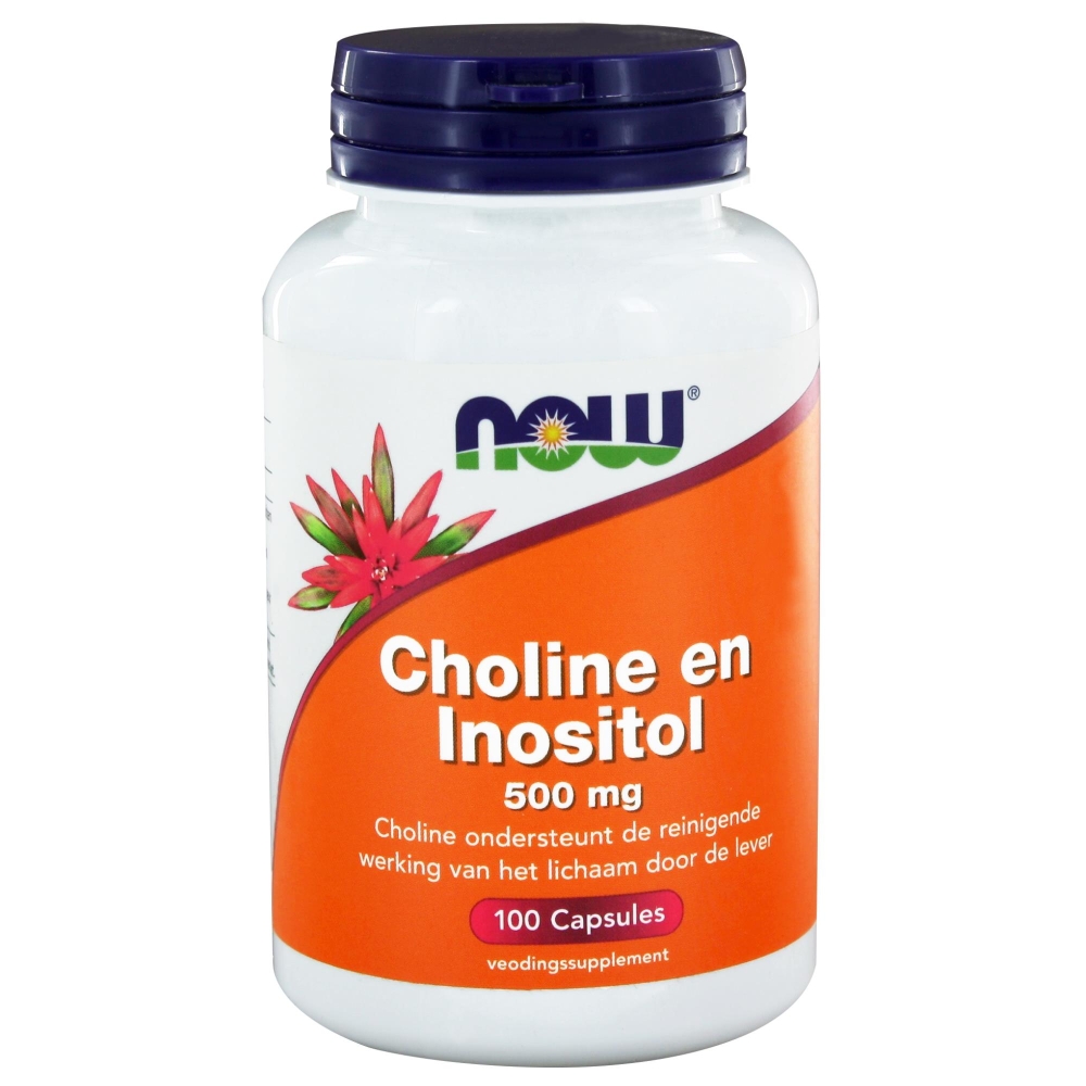 NOW CHOLINE&INOSITOL 500MG 100VCP