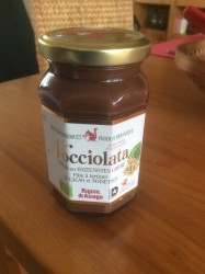 NOCCIOLATA NOCCIOLATA 270 GRAM